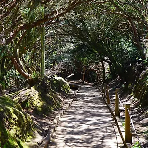 Playa Arena Araya (Tenerife)